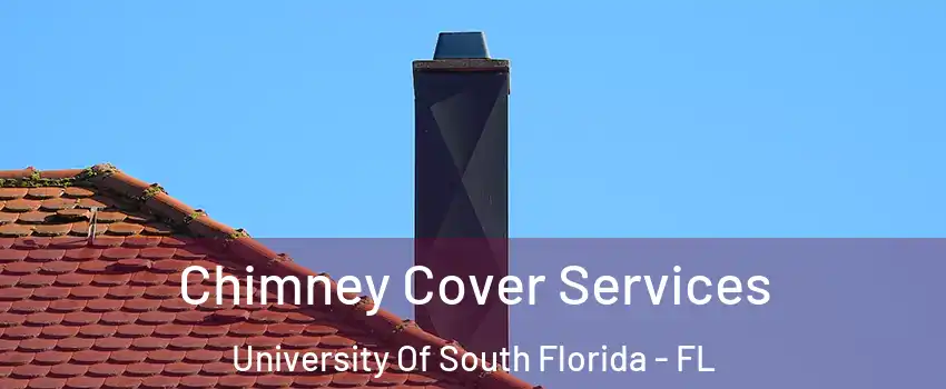 Chimney Cover Services University Of South Florida - FL