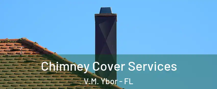 Chimney Cover Services V.M. Ybor - FL
