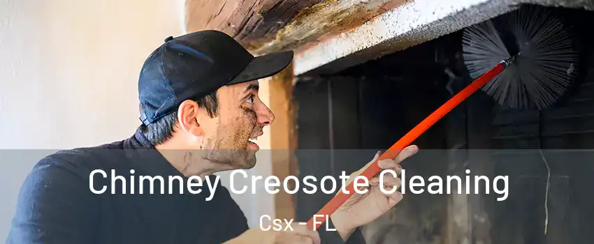 Chimney Creosote Cleaning Csx - FL