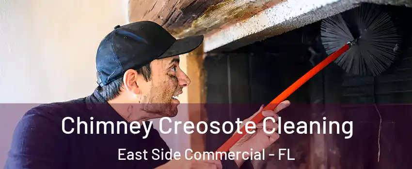 Chimney Creosote Cleaning East Side Commercial - FL