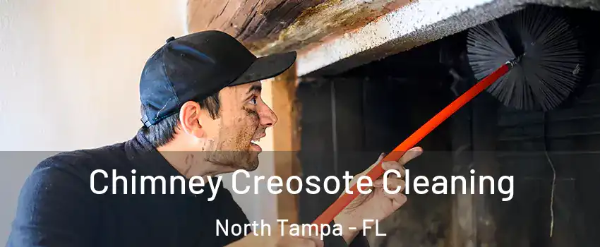 Chimney Creosote Cleaning North Tampa - FL