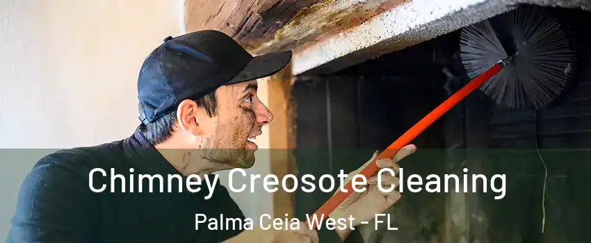Chimney Creosote Cleaning Palma Ceia West - FL