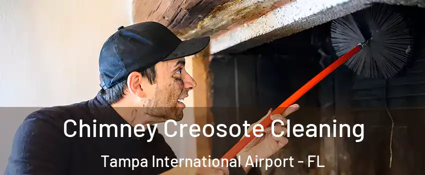 Chimney Creosote Cleaning Tampa International Airport - FL