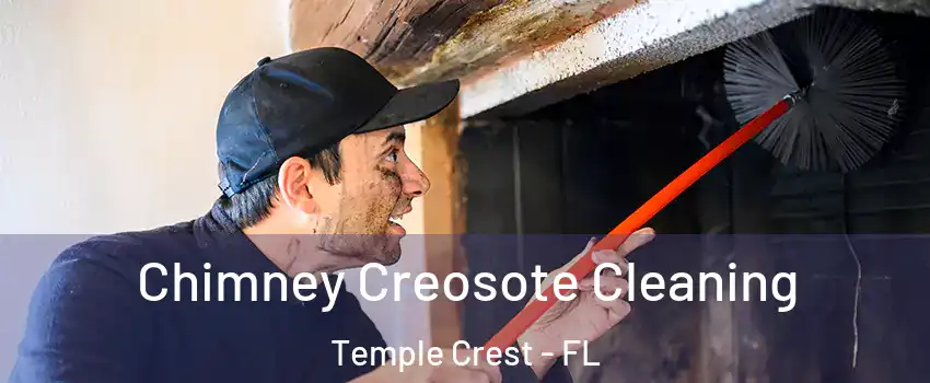 Chimney Creosote Cleaning Temple Crest - FL
