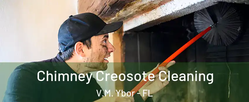 Chimney Creosote Cleaning V.M. Ybor - FL