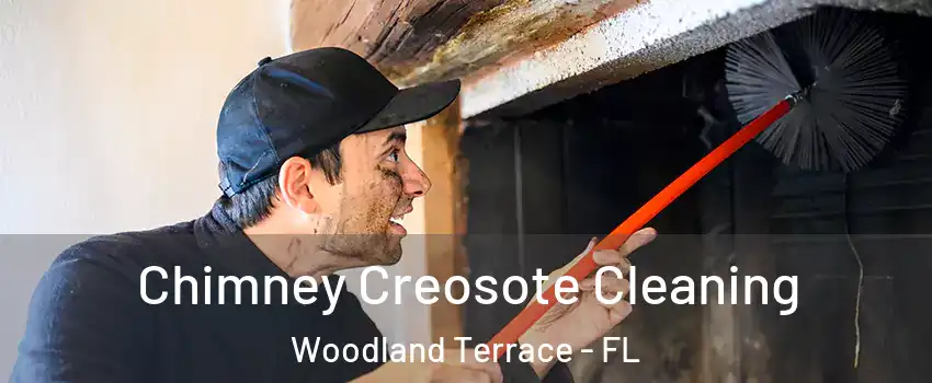 Chimney Creosote Cleaning Woodland Terrace - FL
