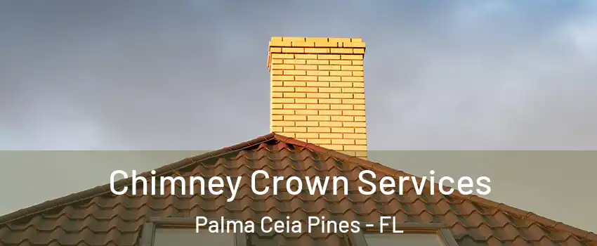 Chimney Crown Services Palma Ceia Pines - FL