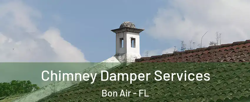 Chimney Damper Services Bon Air - FL