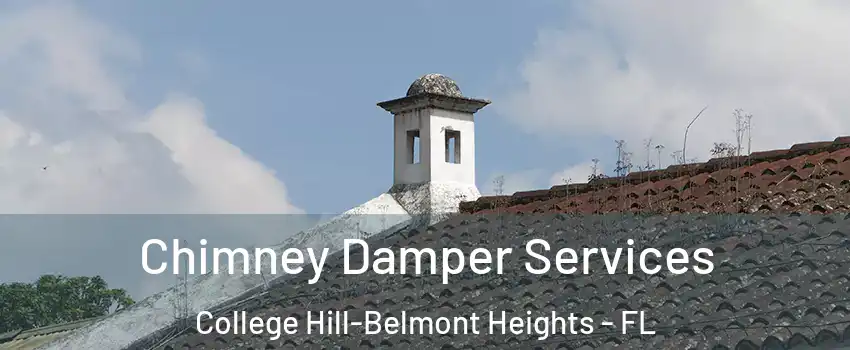 Chimney Damper Services College Hill-Belmont Heights - FL