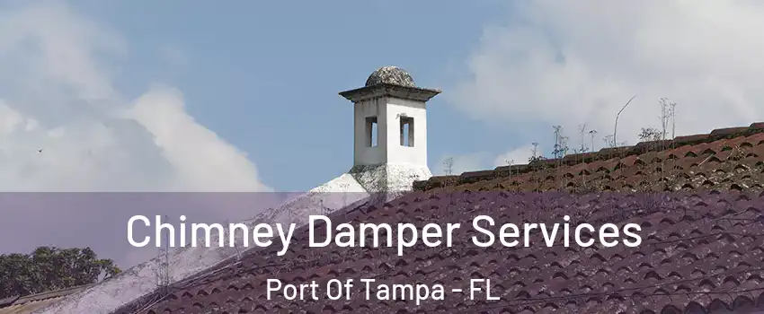 Chimney Damper Services Port Of Tampa - FL