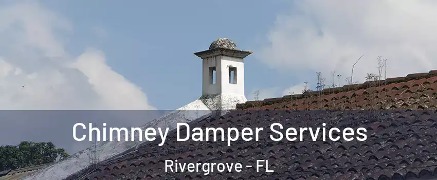Chimney Damper Services Rivergrove - FL