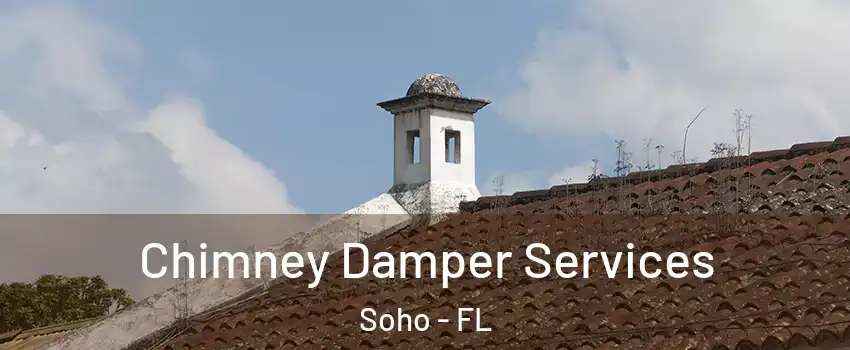 Chimney Damper Services Soho - FL