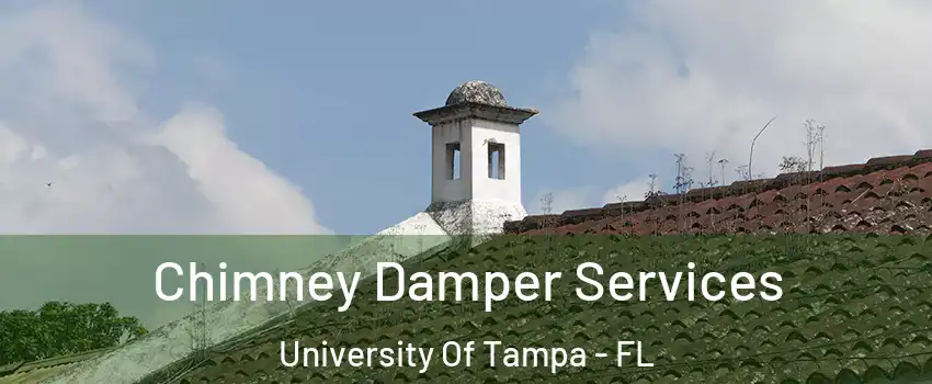 Chimney Damper Services University Of Tampa - FL