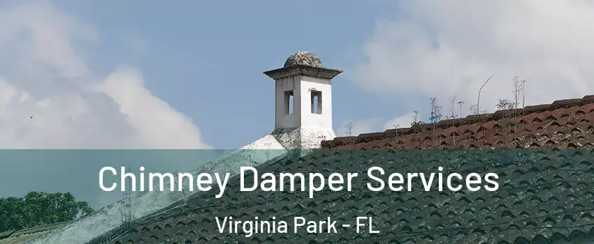 Chimney Damper Services Virginia Park - FL