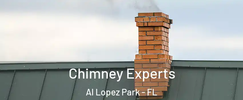 Chimney Experts Al Lopez Park - FL