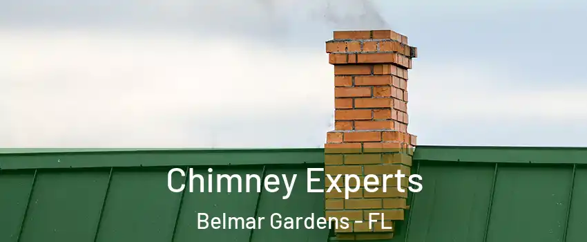 Chimney Experts Belmar Gardens - FL