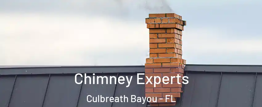 Chimney Experts Culbreath Bayou - FL