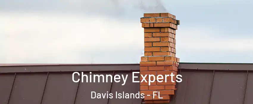 Chimney Experts Davis Islands - FL