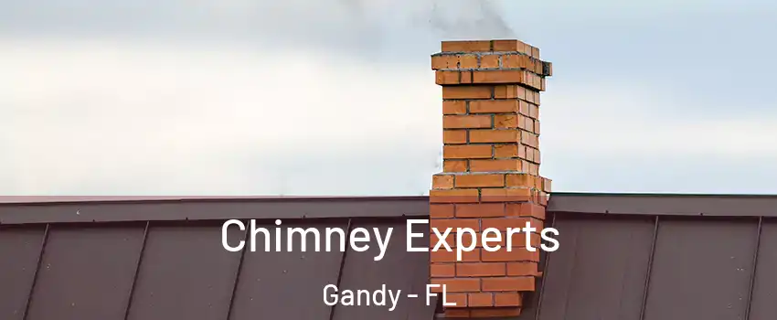 Chimney Experts Gandy - FL
