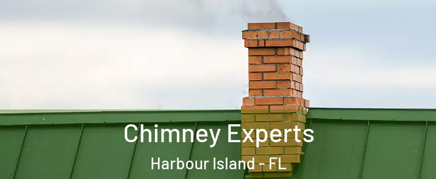 Chimney Experts Harbour Island - FL