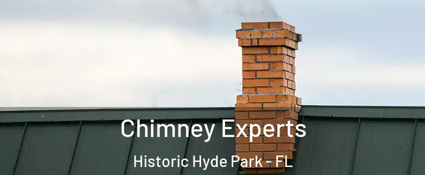 Chimney Experts Historic Hyde Park - FL