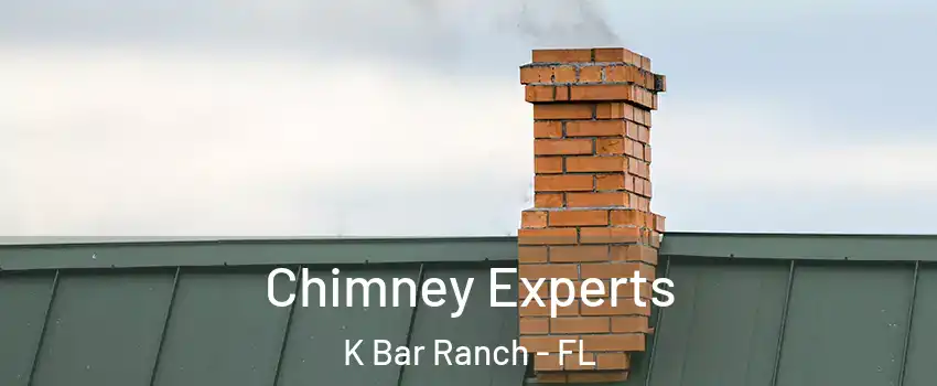 Chimney Experts K Bar Ranch - FL