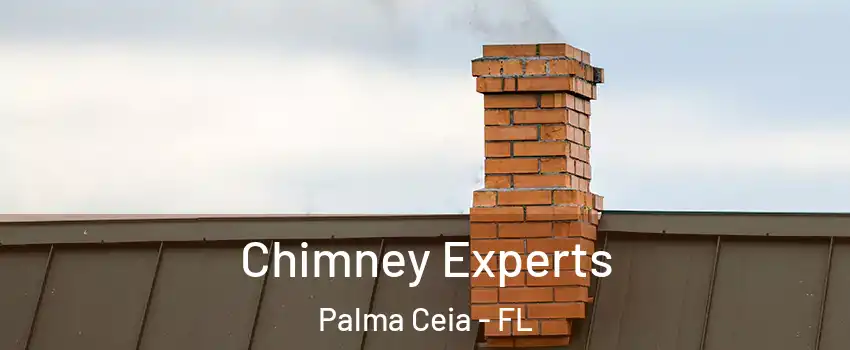 Chimney Experts Palma Ceia - FL
