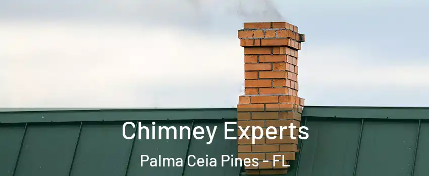 Chimney Experts Palma Ceia Pines - FL