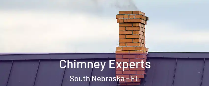 Chimney Experts South Nebraska - FL