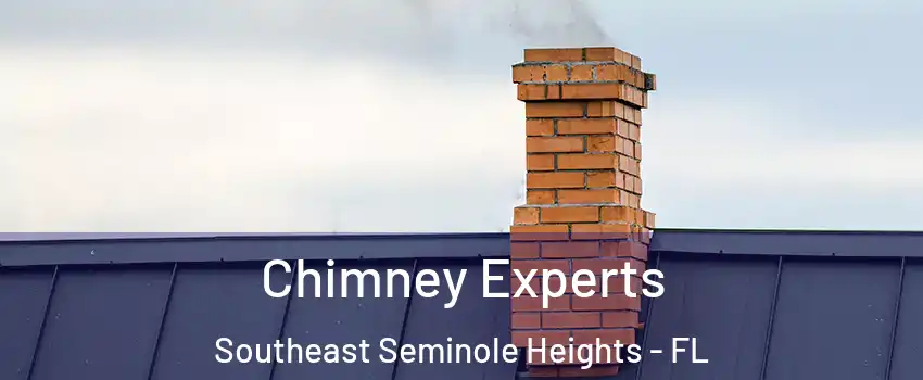 Chimney Experts Southeast Seminole Heights - FL