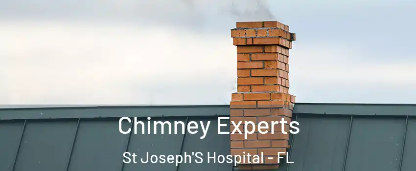 Chimney Experts St Joseph'S Hospital - FL