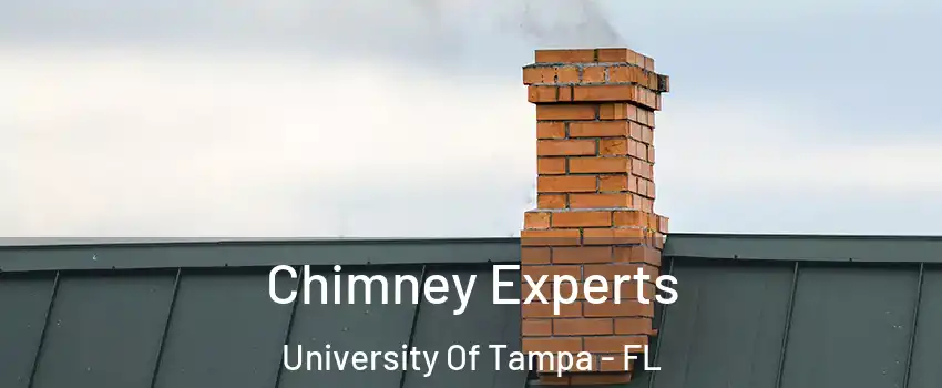 Chimney Experts University Of Tampa - FL
