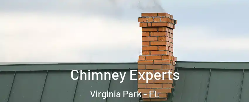 Chimney Experts Virginia Park - FL