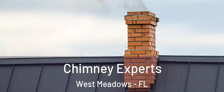 Chimney Experts West Meadows - FL