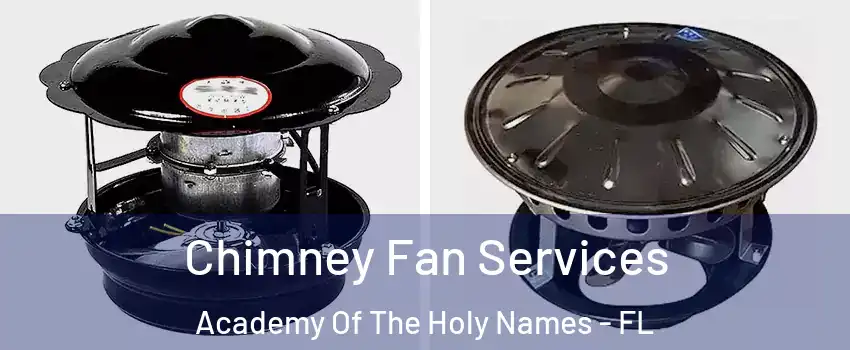 Chimney Fan Services Academy Of The Holy Names - FL