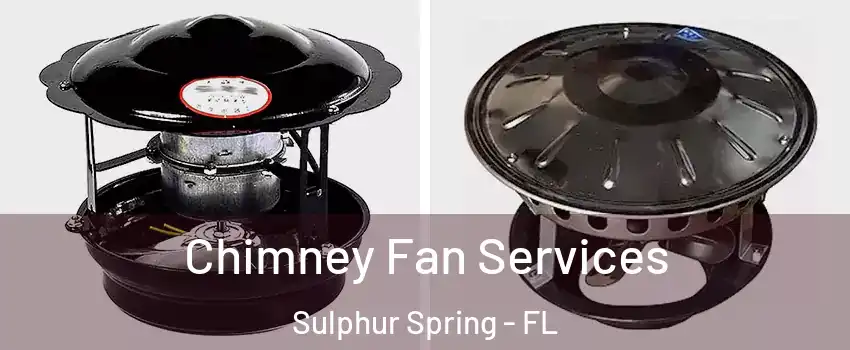Chimney Fan Services Sulphur Spring - FL