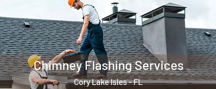 Chimney Flashing Services Cory Lake Isles - FL