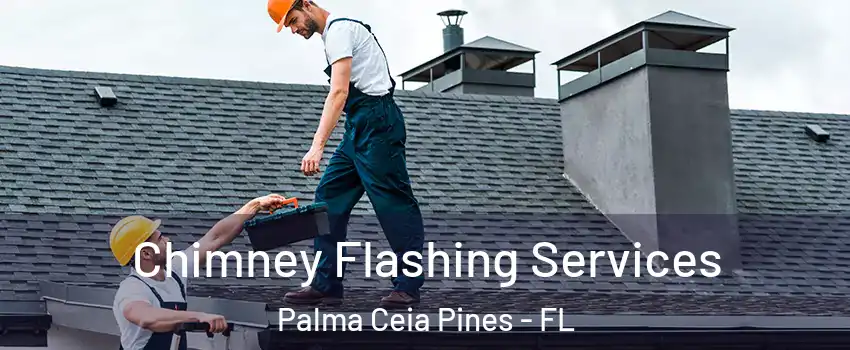 Chimney Flashing Services Palma Ceia Pines - FL