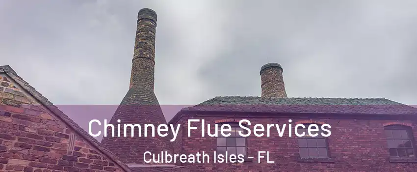 Chimney Flue Services Culbreath Isles - FL