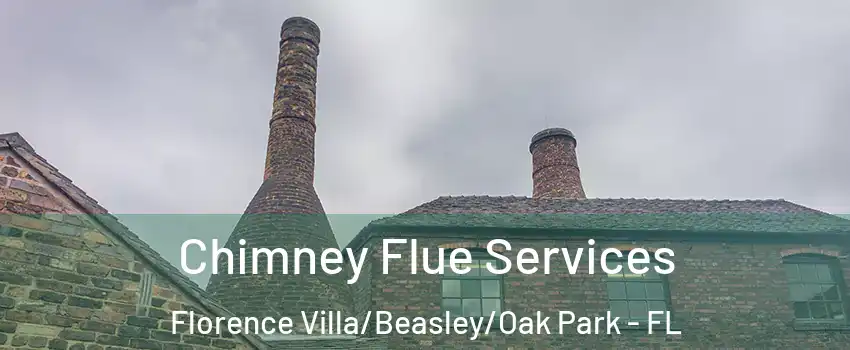 Chimney Flue Services Florence Villa/Beasley/Oak Park - FL