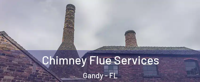 Chimney Flue Services Gandy - FL