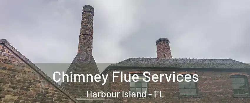 Chimney Flue Services Harbour Island - FL