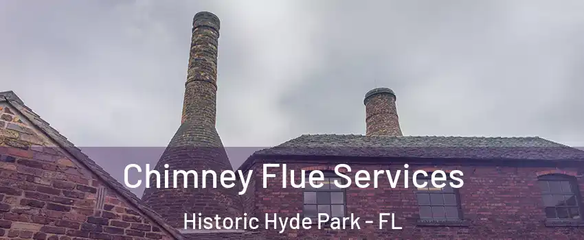 Chimney Flue Services Historic Hyde Park - FL