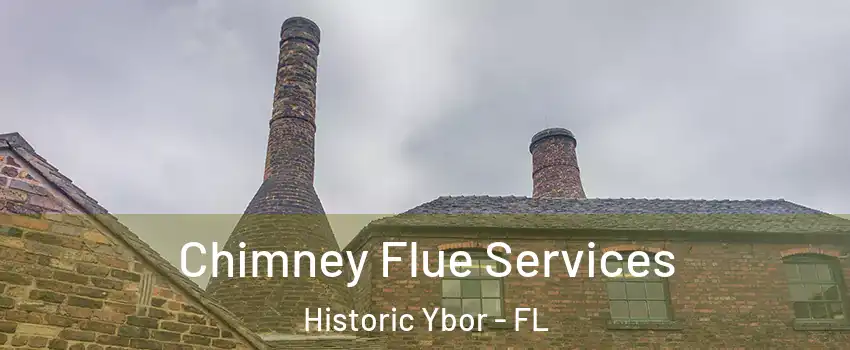 Chimney Flue Services Historic Ybor - FL