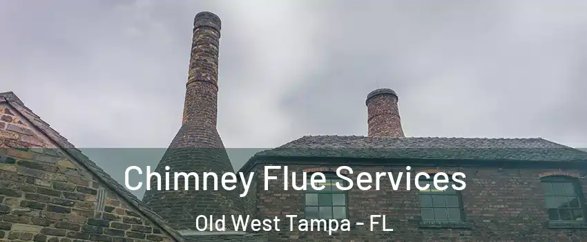 Chimney Flue Services Old West Tampa - FL