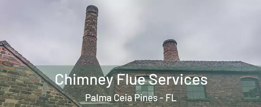 Chimney Flue Services Palma Ceia Pines - FL