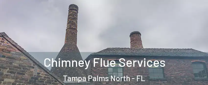 Chimney Flue Services Tampa Palms North - FL