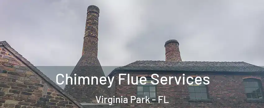 Chimney Flue Services Virginia Park - FL