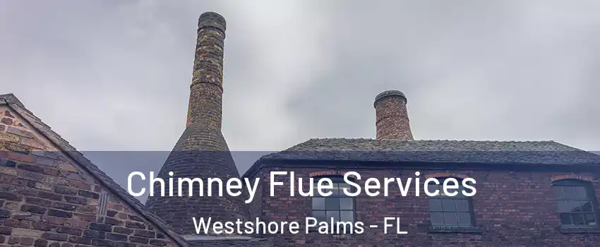 Chimney Flue Services Westshore Palms - FL