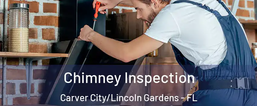 Chimney Inspection Carver City/Lincoln Gardens - FL